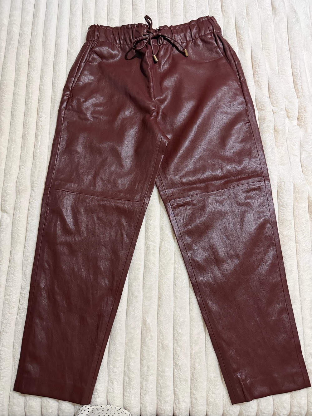 Zara Faux Leather Pants in Burgundy NWT